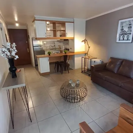 Luxurious Downtown Apartment